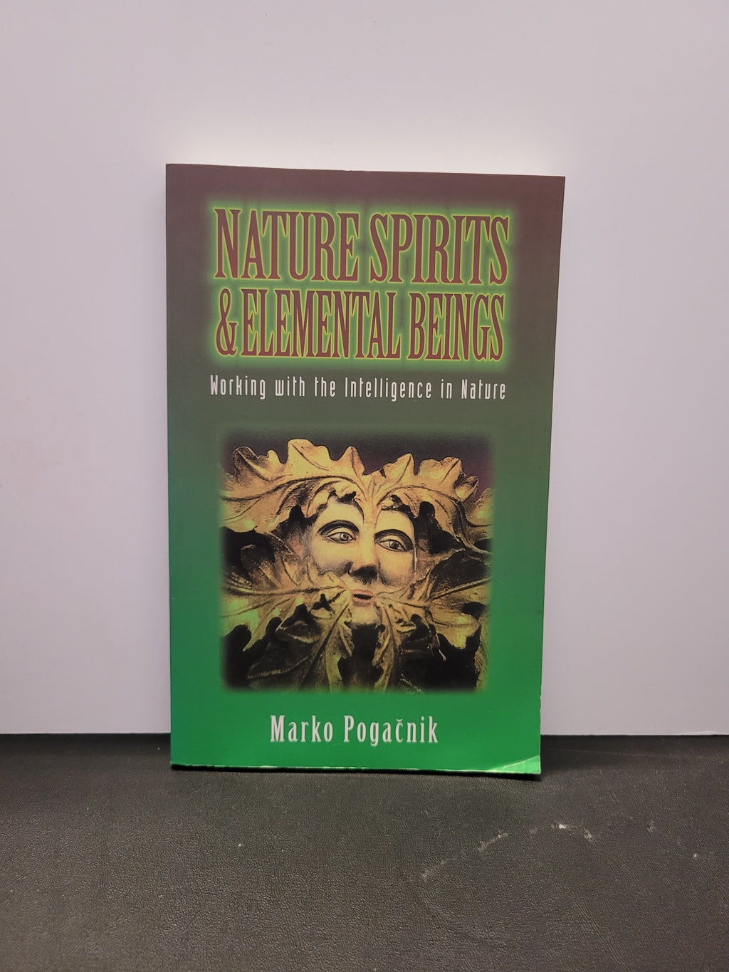 Nature Spirits and Elemental Beings * Marko Pogacnik