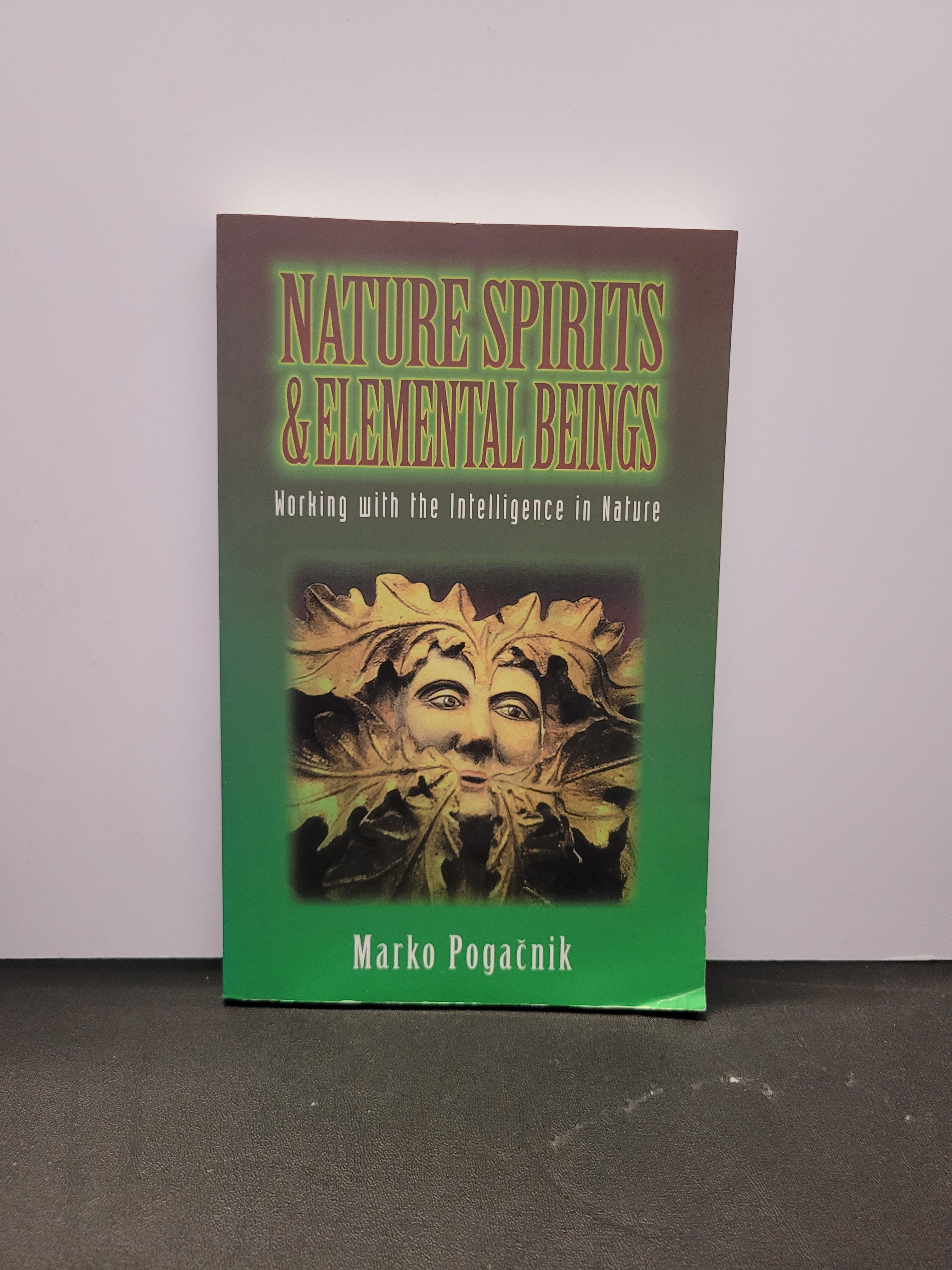 Nature Spirits and Elemental Beings * Marko Pogacnik