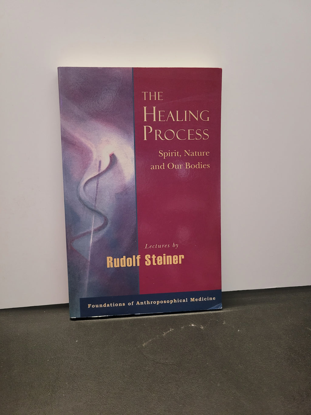 The Healing Process * Rudolf Steiner, Catherine E. Creeger (translator)