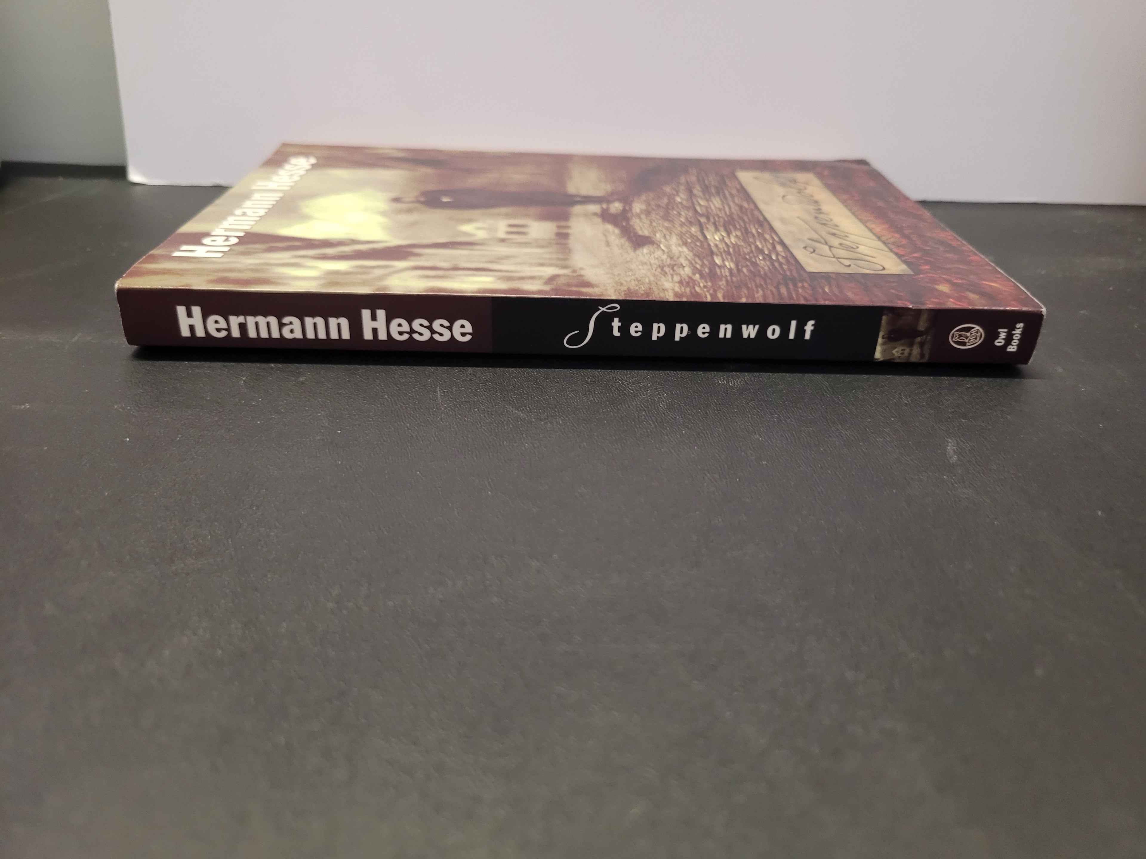 Steppenwolf * Hermann Hesse