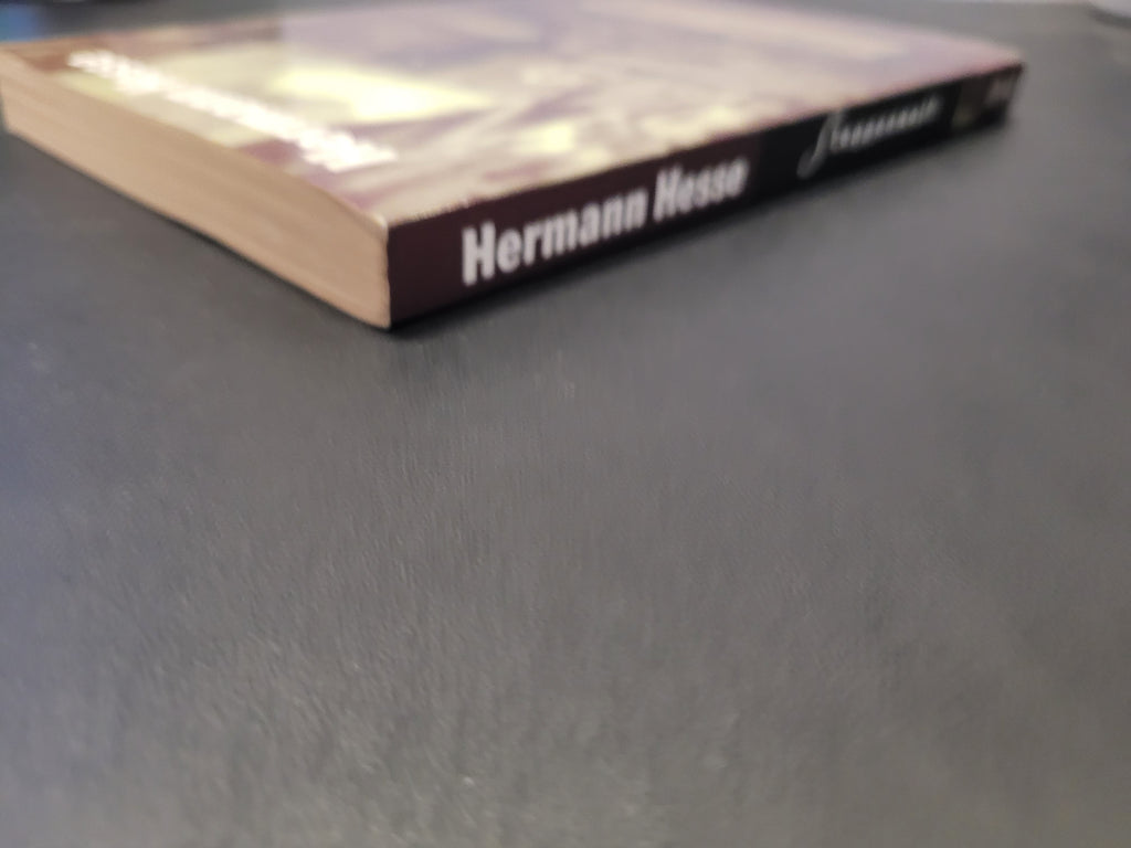 Steppenwolf * Hermann Hesse