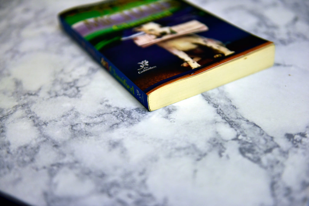 Classified * Fern Michaels * The Godmothers #6
