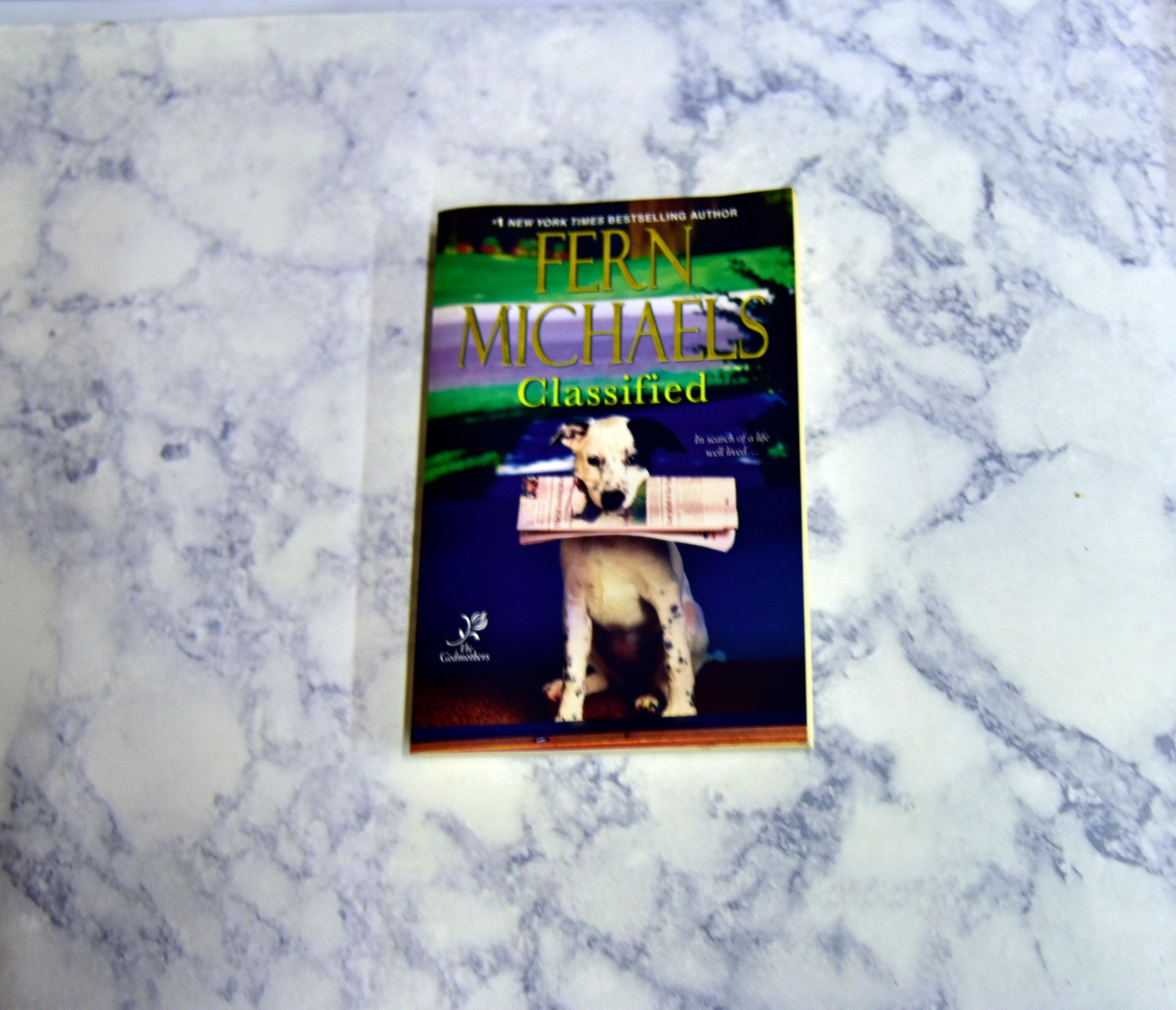 Classified * Fern Michaels * The Godmothers #6