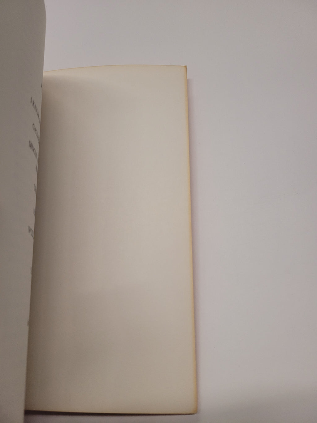 The tanned edges of the book.