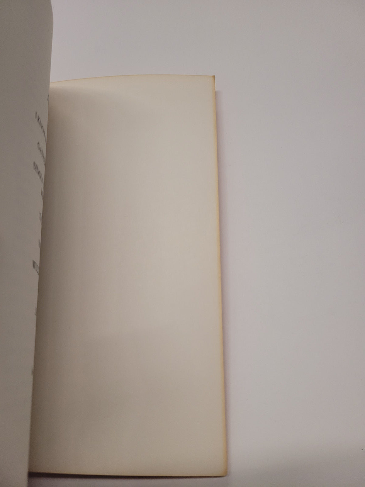The tanned edges of the book.