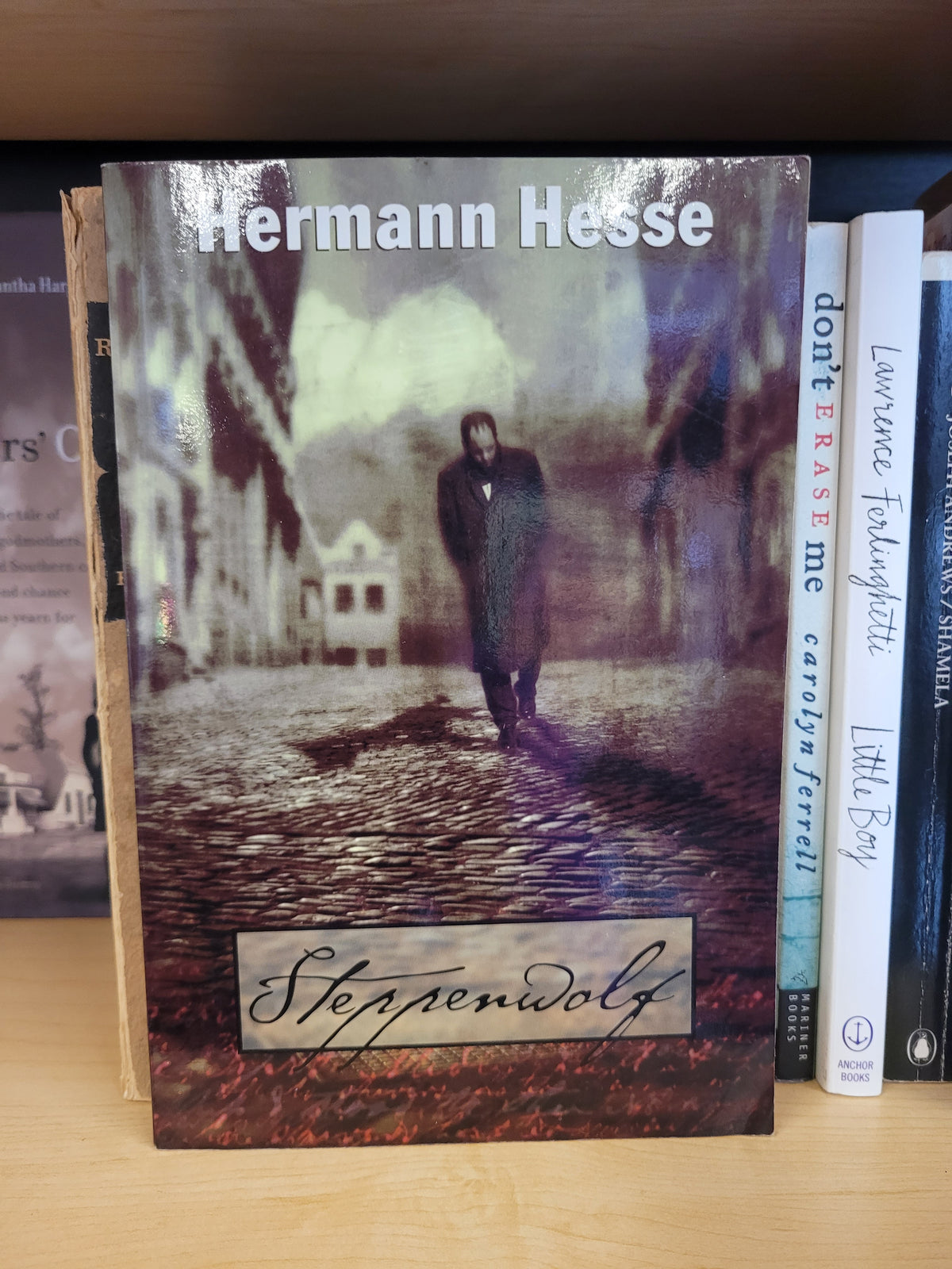 Steppenwolf * Hermann Hesse