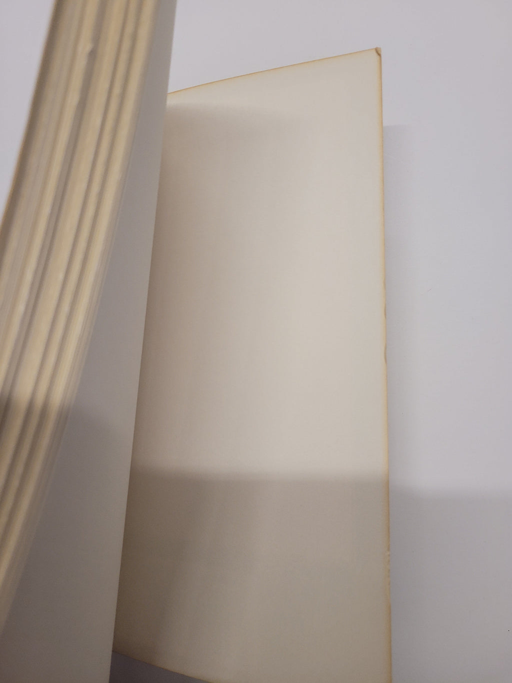 A close-up of a blank, blankled book or notebook page with cream-colored paper and a stack of similar pages in the foreground against a plain white background.