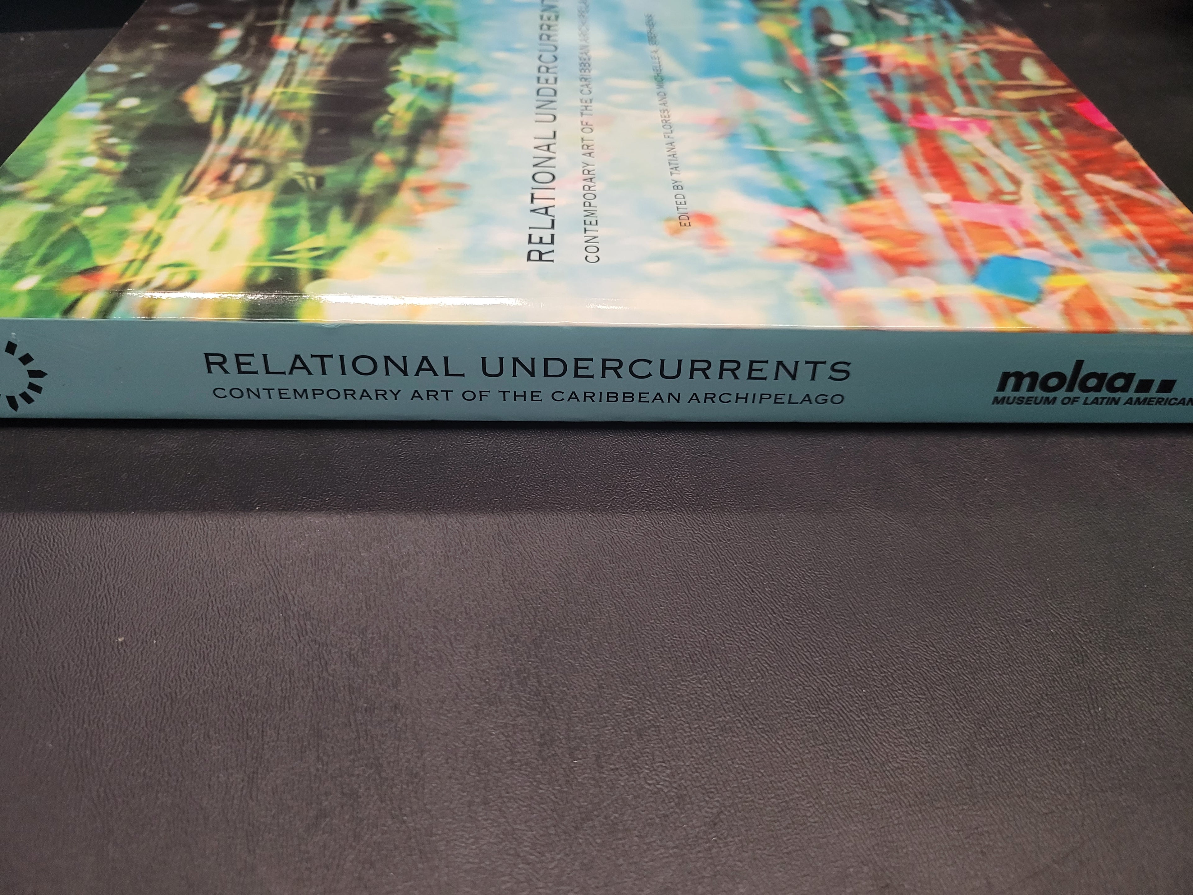 Relational Undercurrents: Contemporary Art of the Caribbean Archipelago * Tatiana Flores (Editor), Michelle Ann Stephens (Editor)