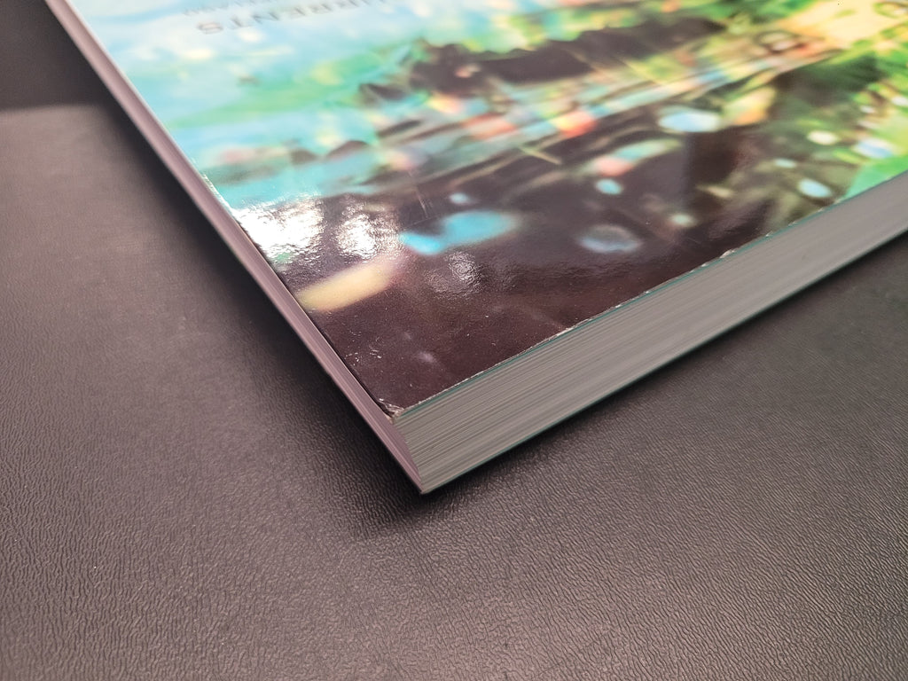 Relational Undercurrents: Contemporary Art of the Caribbean Archipelago * Tatiana Flores (Editor), Michelle Ann Stephens (Editor)